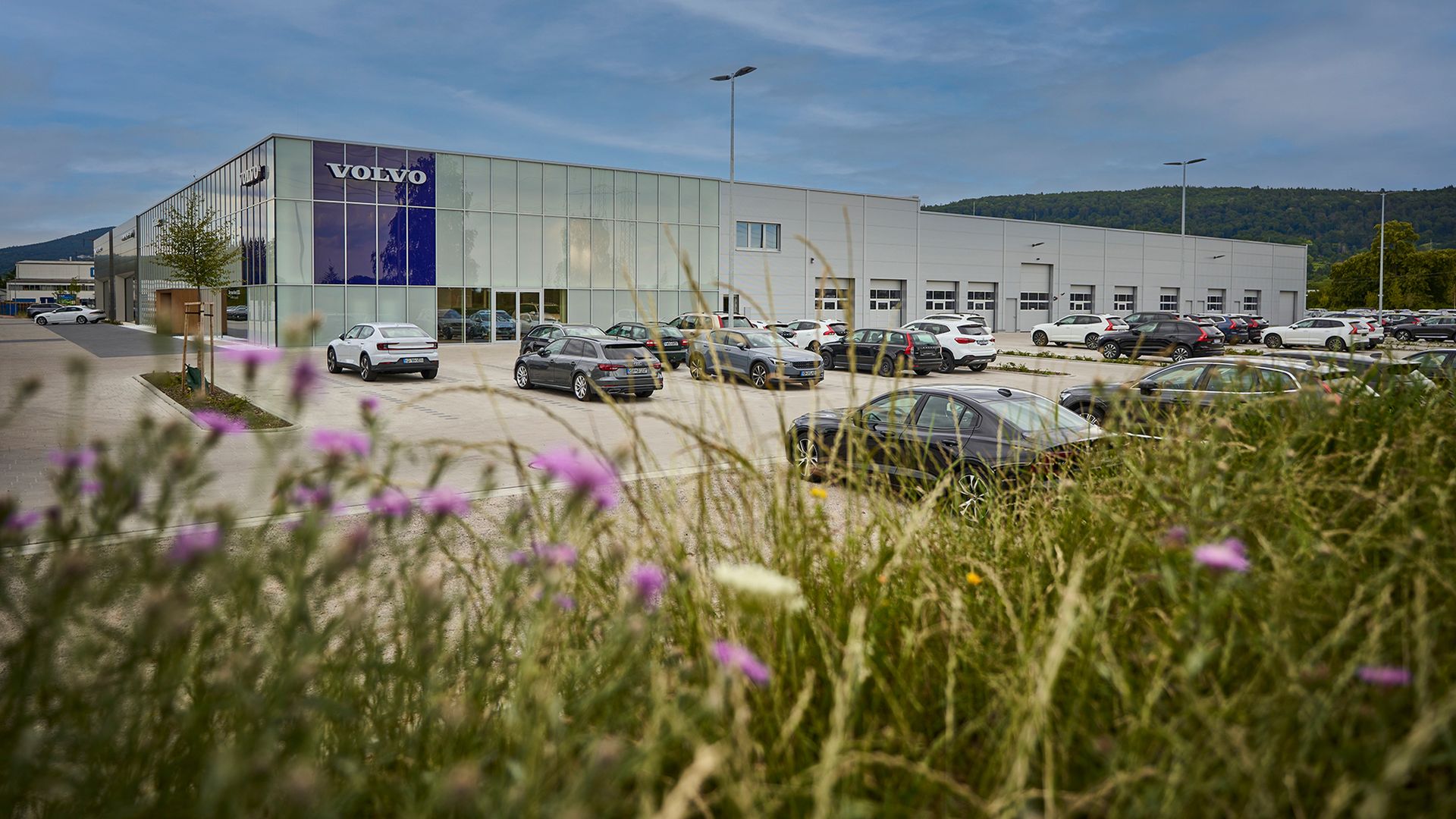 Geisser car dealership group